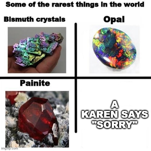 karens are soooo annoying ? | a karen says "sorry" | image tagged in some of the rarest things in the world | made w/ Imgflip meme maker