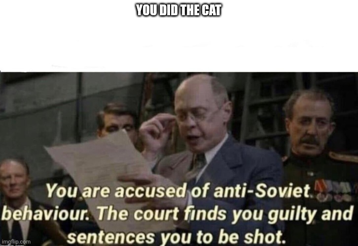 You did the cat | image tagged in the court finds you guilty and sentences you to be shot | made w/ Imgflip meme maker