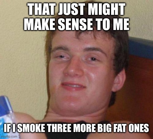 stoned guy | That just might make sense to me If I smoke three more big fat ones | image tagged in stoned guy | made w/ Imgflip meme maker