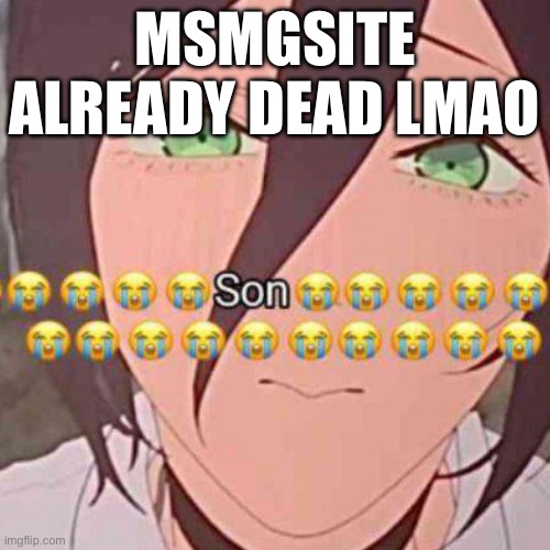 son | msmgsite already dead lmao | image tagged in son | made w/ Imgflip meme maker