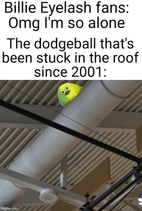 Dodgeball Blank Meme Template