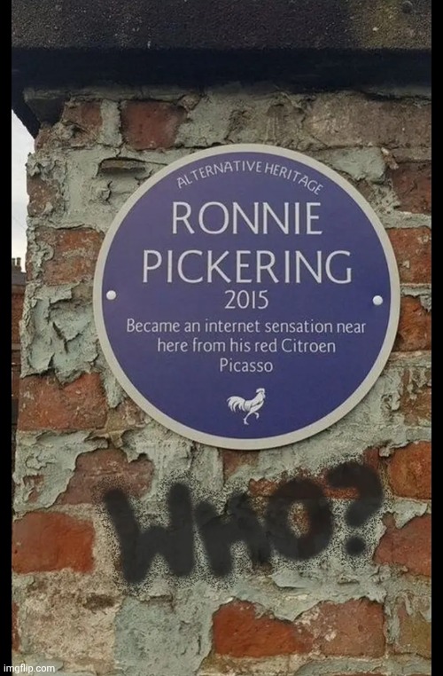 Ronnie Pickering | image tagged in viral,fame,road rage,argument,boxer,fight | made w/ Imgflip meme maker
