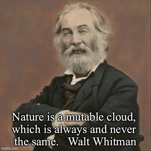 Nature is a mutable cloud … | Nature is a mutable cloud, 
which is always and never 
the same.   Walt Whitman | image tagged in deep thoughts | made w/ Imgflip meme maker