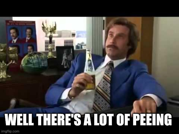 Well That Escalated Quickly Meme | Well there's a lot of peeing | image tagged in memes,well that escalated quickly | made w/ Imgflip meme maker