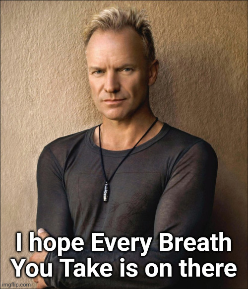 Sting | I hope Every Breath You Take is on there | image tagged in sting | made w/ Imgflip meme maker