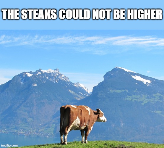 time to go offend some vegans | the steaks could not be higher | image tagged in steak,memes,funny,funny memes,relatable,steak dinner | made w/ Imgflip meme maker