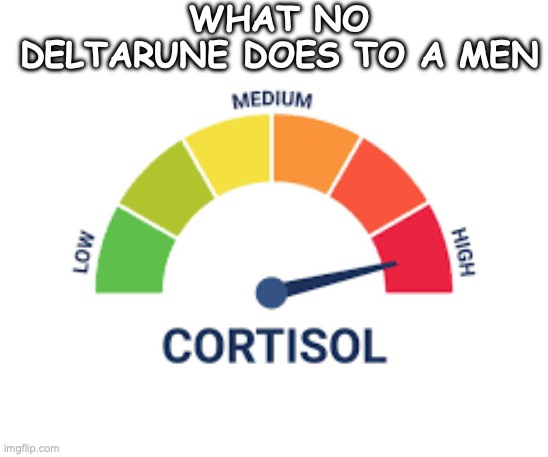 High Cortisol | what no deltarune does to a men | image tagged in high cortisol | made w/ Imgflip meme maker