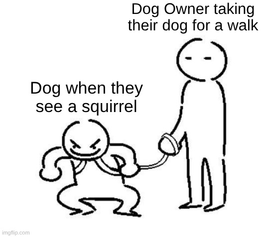 hyper and tired | Dog Owner taking their dog for a walk; Dog when they see a squirrel | image tagged in hyper and tired | made w/ Imgflip meme maker
