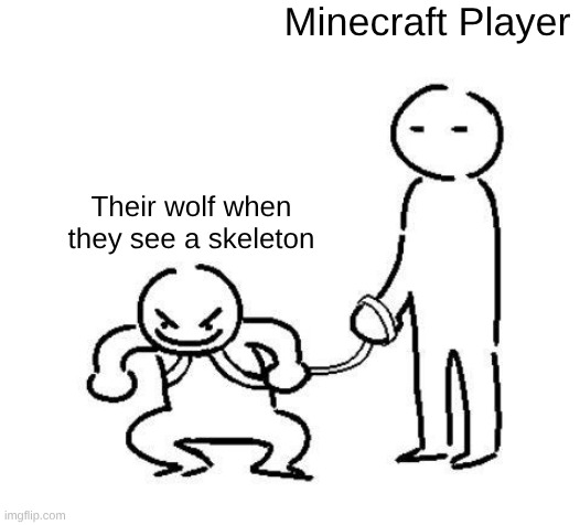 hyper and tired | Minecraft Player; Their wolf when they see a skeleton | image tagged in hyper and tired | made w/ Imgflip meme maker