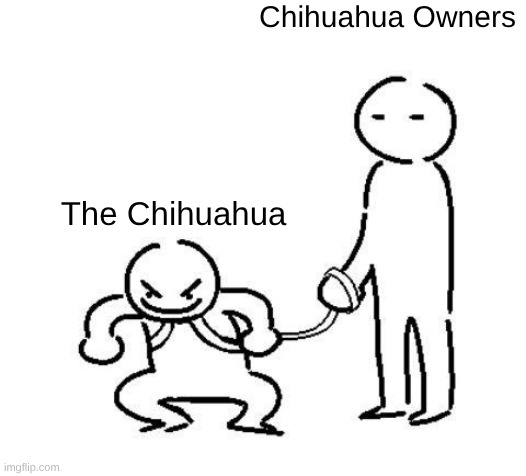 hyper and tired | Chihuahua Owners; The Chihuahua | image tagged in hyper and tired | made w/ Imgflip meme maker
