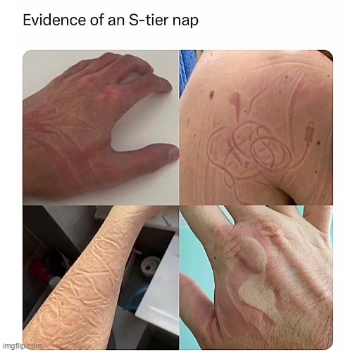image tagged in nap | made w/ Imgflip meme maker