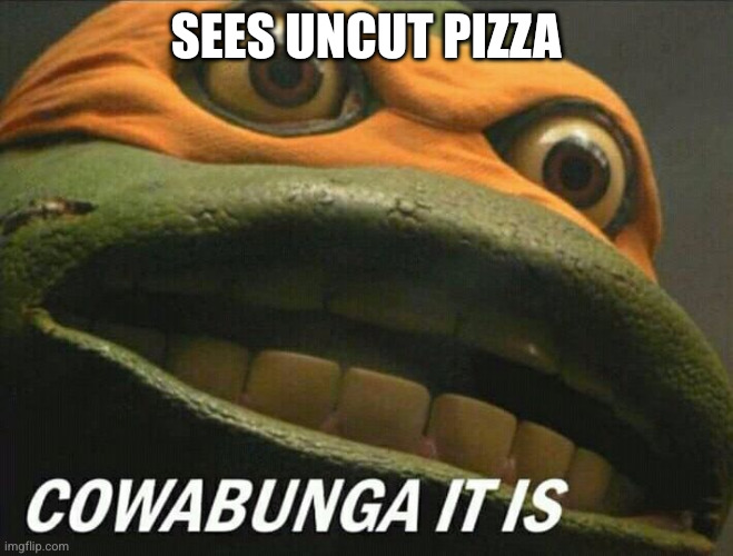 Cowabunga it is | Sees uncut pizza | image tagged in cowabunga it is | made w/ Imgflip meme maker