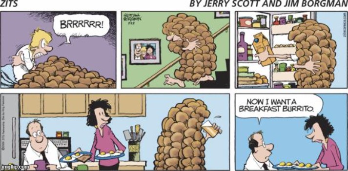 Zits | image tagged in comics | made w/ Imgflip meme maker