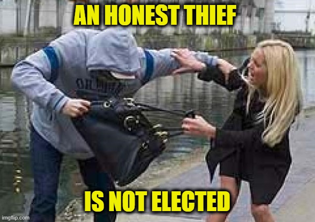 Taxes and inflation is theft | An Honest thief; Is not elected | image tagged in big government | made w/ Imgflip meme maker