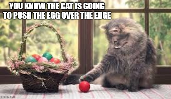 How long until the cat pushes the Easter egg over the edge? | You know the cat is going to push the egg over the edge | image tagged in cat,kittens,funny,humor,easter,eggs | made w/ Imgflip meme maker
