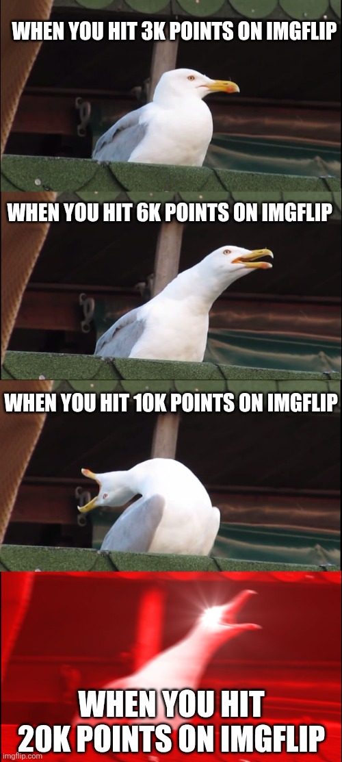 I'm so close to 20k points guys! | When you hit 3k points on imgflip; When you hit 6k points on imgflip; When you hit 10k points on imgflip; When you hit 20k points on imgflip | image tagged in memes,inhaling seagull,20000 points,imgflip points,points,flick7 | made w/ Imgflip meme maker