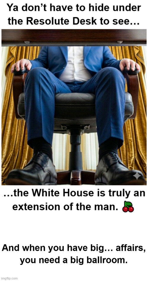 At 22 thousand square feet, why does Trump need such a big ballroom? | image tagged in maga,conservative,white house | made w/ Imgflip meme maker