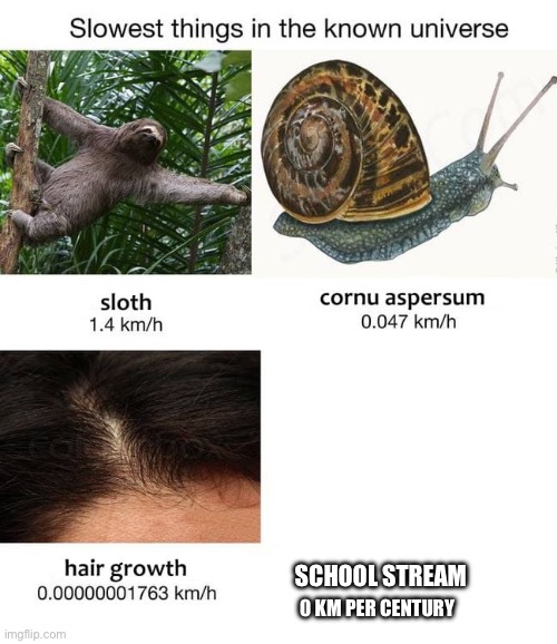 Even though theres no more spam, lost its spark | School stream; 0 km per century | image tagged in slowest things | made w/ Imgflip meme maker