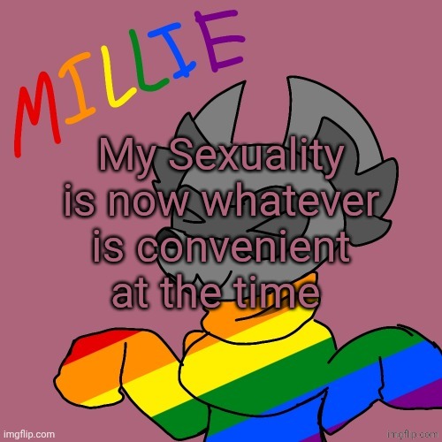 Millie's fursona announcement template | My Sexuality is now whatever is convenient at the time | image tagged in millie's fursona announcement template | made w/ Imgflip meme maker