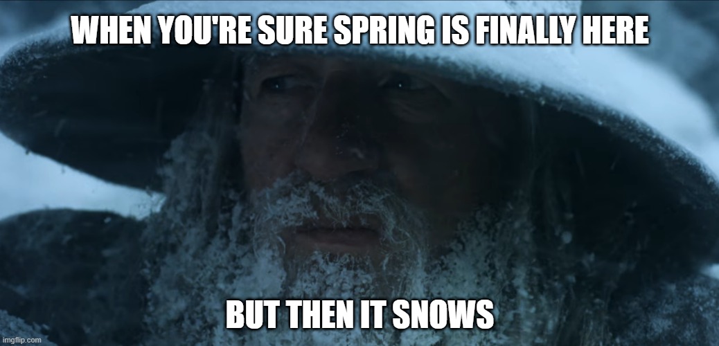 Lord of the Rings - Gandalf in a Snowstorm | When you're sure spring is finally here; but then it snows | image tagged in lord of the rings - gandalf in a snowstorm | made w/ Imgflip meme maker