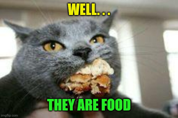 Well. . . They are food | image tagged in cat-eating | made w/ Imgflip meme maker