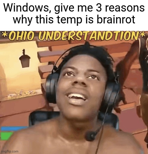 context: i commented "W botslayer" with this temp on it | Windows, give me 3 reasons why this temp is brainrot | image tagged in ohio understandtion | made w/ Imgflip meme maker
