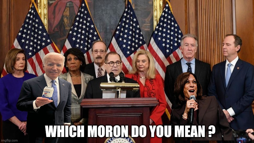 House Democrats | Which moron do you mean ? | image tagged in house democrats | made w/ Imgflip meme maker