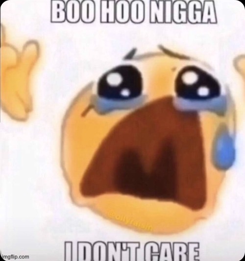 image tagged in boo hoo i don't care | made w/ Imgflip meme maker