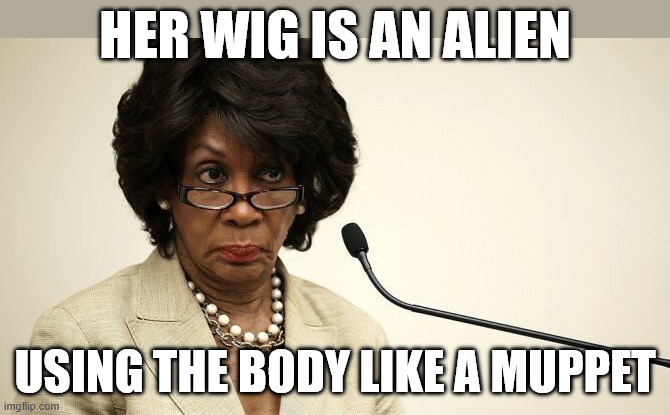 Maxine | Her wig is an alien; using the body like a Muppet | image tagged in maxine waters crazy,maxine waters,memes,democrat,muppets,alien | made w/ Imgflip meme maker