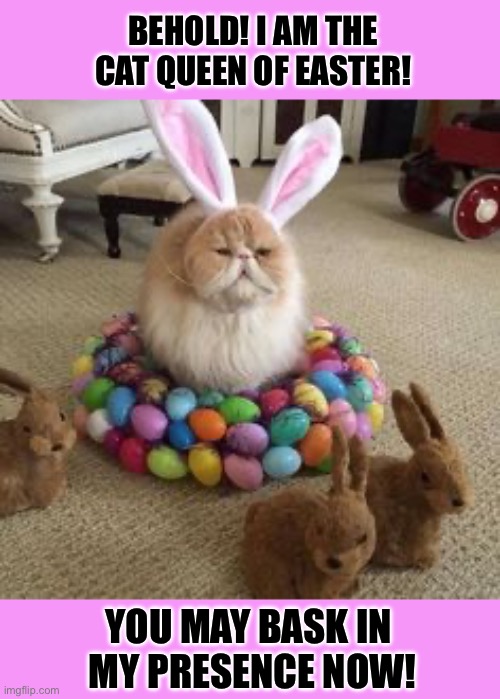 That’s her attitude the rest of the year as well | Behold! I am the 
cat queen of Easter! You may bask in 
my presence now! | image tagged in cats,easter,queen,behold,bask,bunnies | made w/ Imgflip meme maker