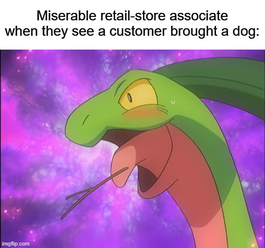 The dark clouds in my life have been cleared | Miserable retail-store associate when they see a customer brought a dog: | image tagged in memes,funny,relatable,pokemon,anime | made w/ Imgflip meme maker