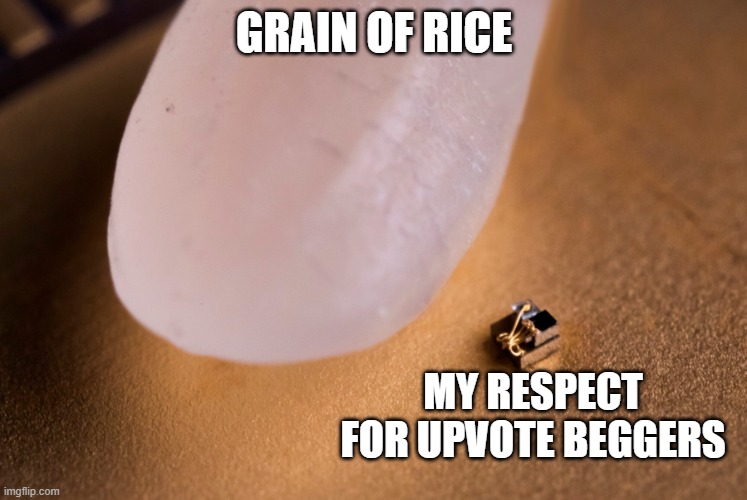 Please don't upvote beg | grain of rice; my respect for upvote beggers | image tagged in grain of rice | made w/ Imgflip meme maker