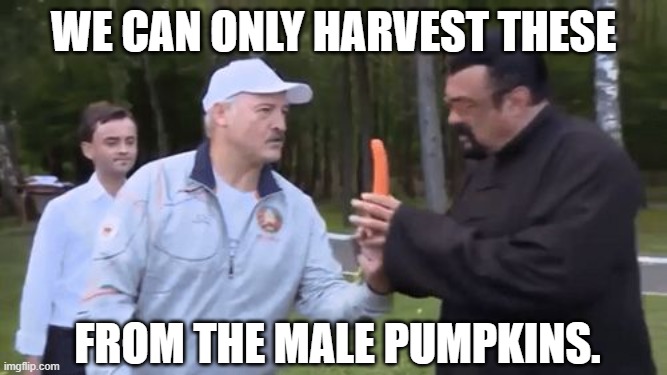 We can only harvest these; From the male pumpkins. | made w/ Imgflip meme maker