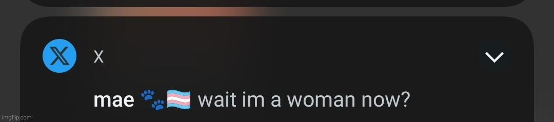 HMMM I WONDER WHAT AM I GOING TO SEE IF I CLICK ON THAT NOTIFICATION | made w/ Imgflip meme maker