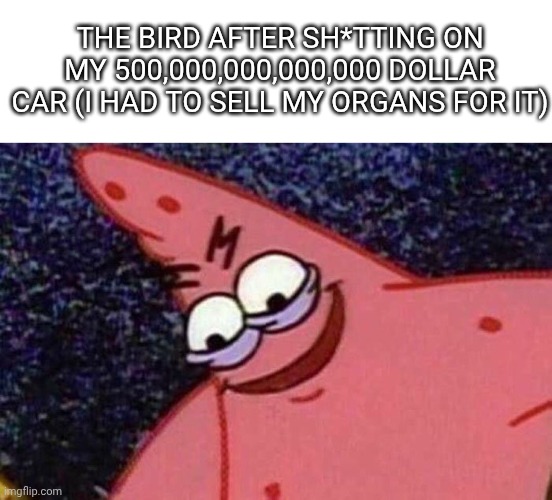 Evil Patrick  | The bird after sh*tting on my 500,000,000,000,000 dollar car (I had to sell my organs for it) | image tagged in evil patrick | made w/ Imgflip meme maker