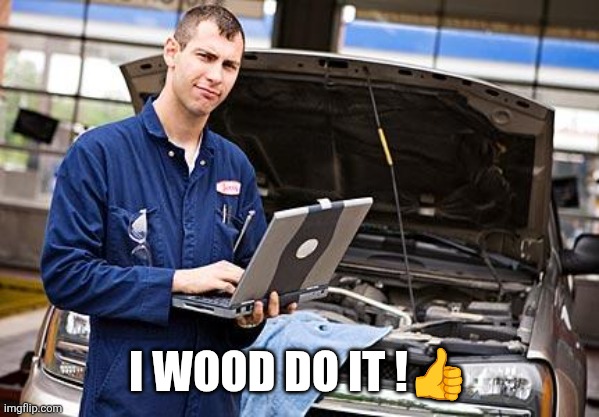 Internet Mechanic | I wood do it !? | image tagged in internet mechanic | made w/ Imgflip meme maker