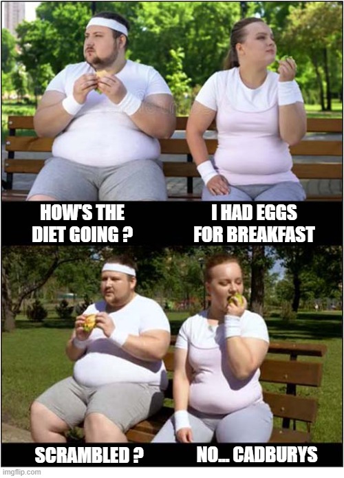 Life Can Be A Struggle ! | i had eggs for breakfast; How's the diet going ? no... cadburys; scrambled ? | image tagged in obese,diets,eggs,chocolate,easter eggs,cadburys | made w/ Imgflip meme maker