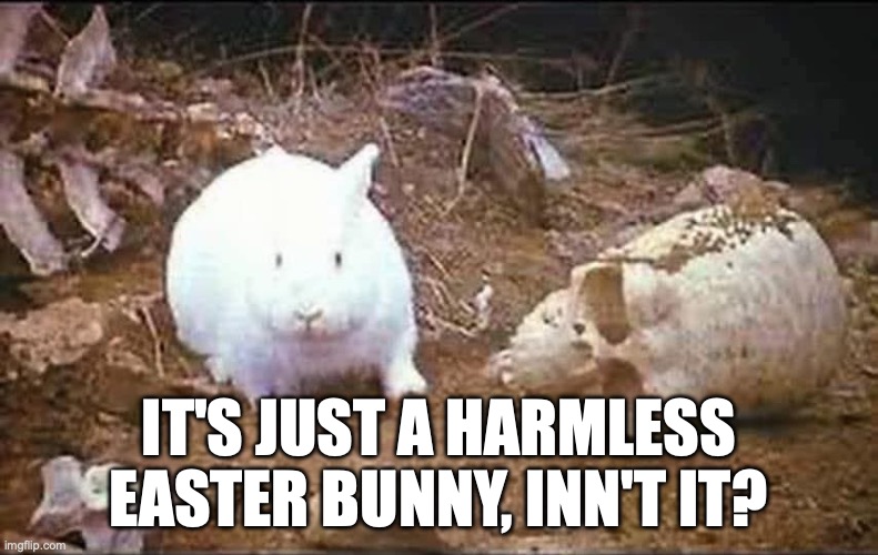 A Harmless Easter Bunny | It's just a harmless Easter bunny, inn't it? | image tagged in rabbit,monty python and the holy grail,monty python | made w/ Imgflip meme maker