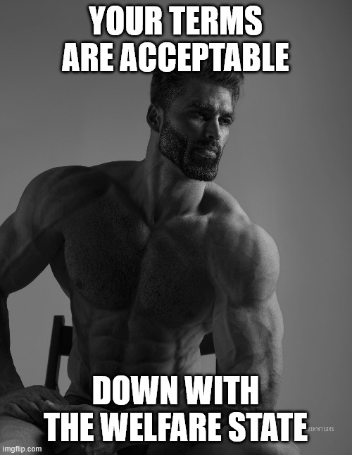 your terms are acceptable down with the welfare state | image tagged in giga chad | made w/ Imgflip meme maker