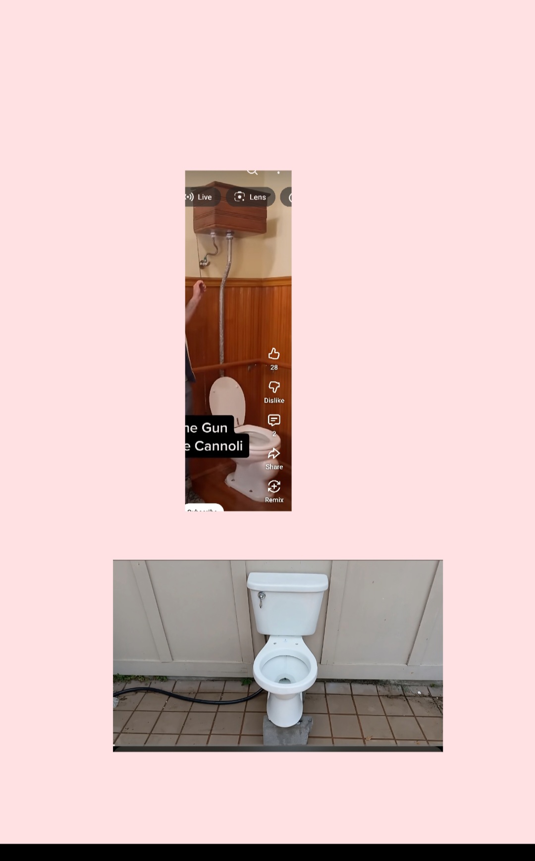 1927 toilet Blank Meme Template