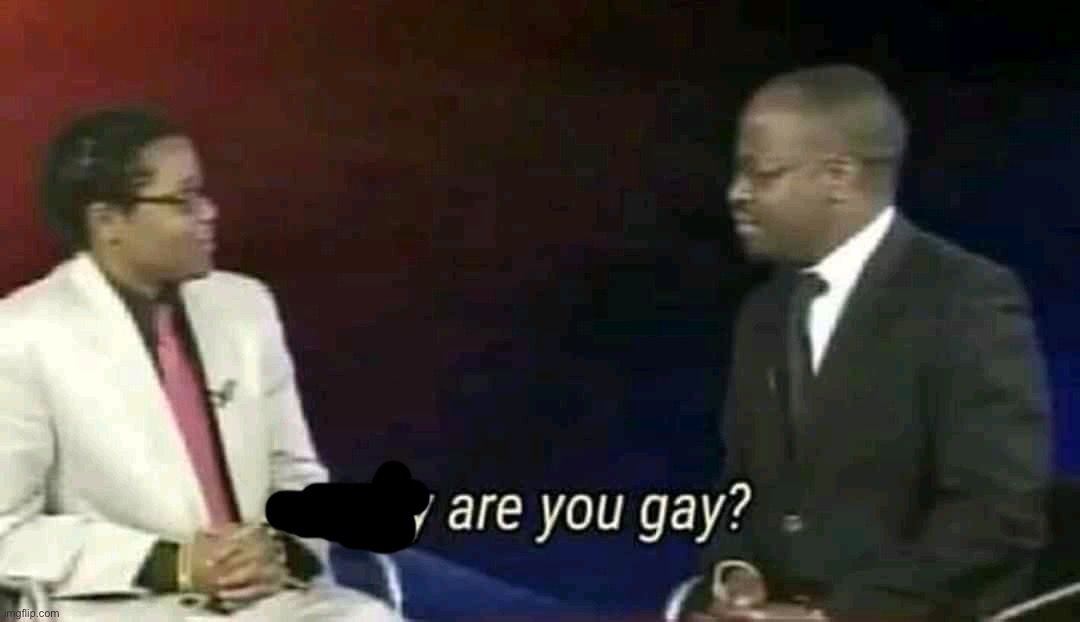 Why are you gay? | image tagged in why are you gay | made w/ Imgflip meme maker