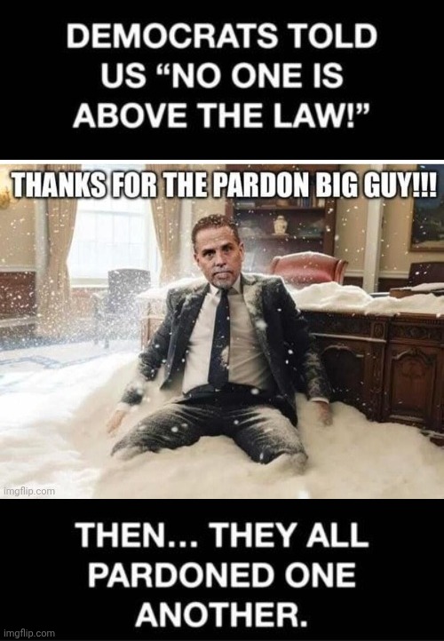 Demorhhoids say nobody is above thx | image tagged in hunter biden cocaine pardon,democrats | made w/ Imgflip meme maker