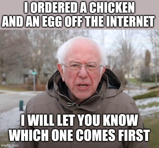 The chicken or the egg | I ordered a chicken and an egg off the internet; I will let you know which one comes first | image tagged in bernie sanders once again asking,funny memes | made w/ Imgflip meme maker