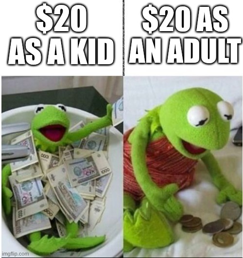 Money | $20 as a kid; $20 as an adult | image tagged in kermit before and after money | made w/ Imgflip meme maker
