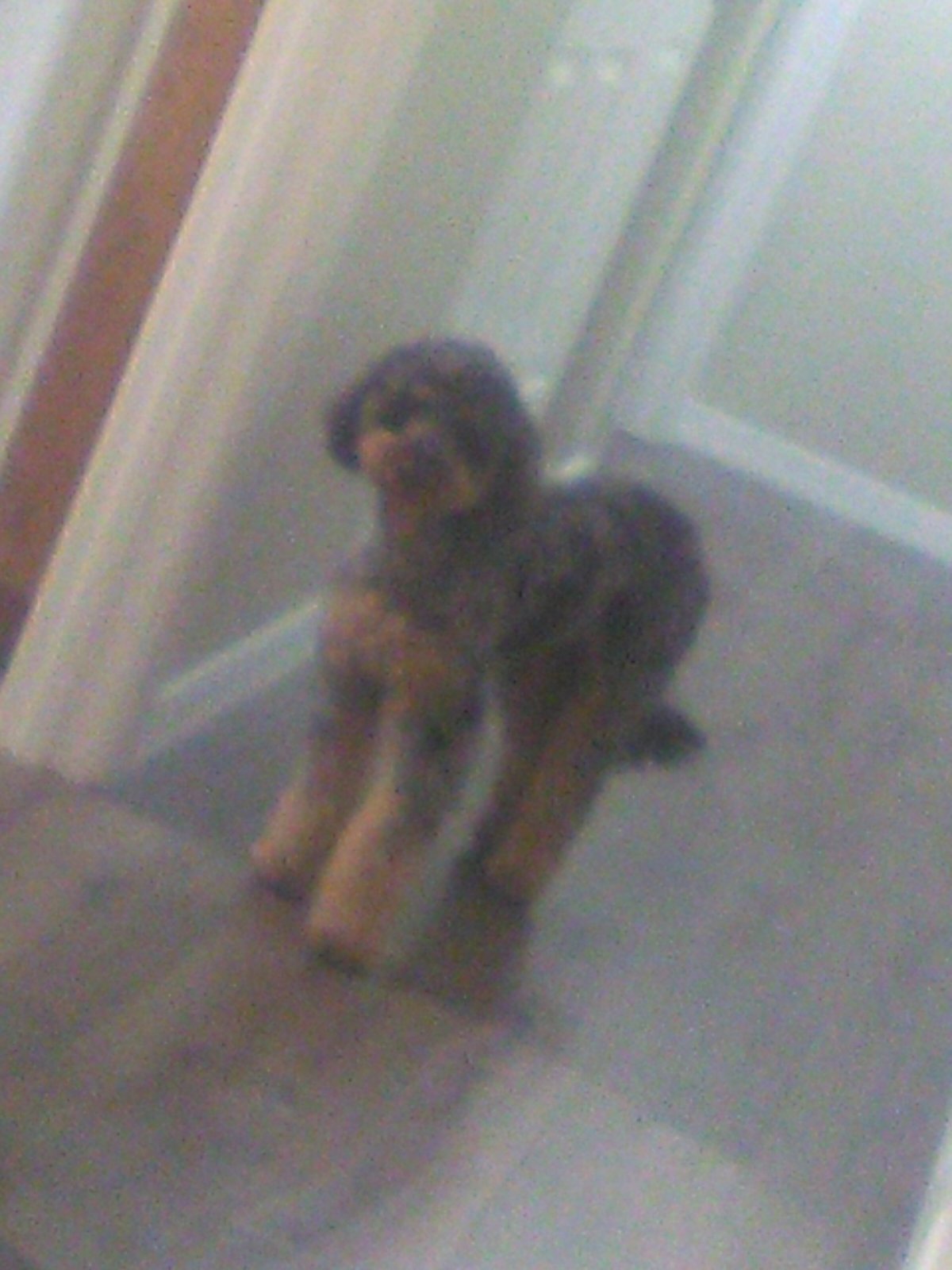 coco carver 2 Blank Meme Template