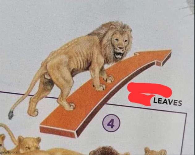 Defeated male leaves | image tagged in defeated male leaves | made w/ Imgflip meme maker