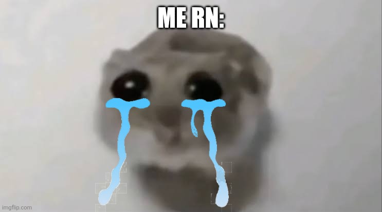 Me rn: | image tagged in sad hamster | made w/ Imgflip meme maker