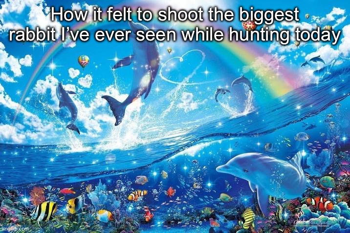 Seemed to have so eggs though idk it was wack | How it felt to shoot the biggest rabbit I’ve ever seen while hunting today | image tagged in happy dolphin rainbow | made w/ Imgflip meme maker