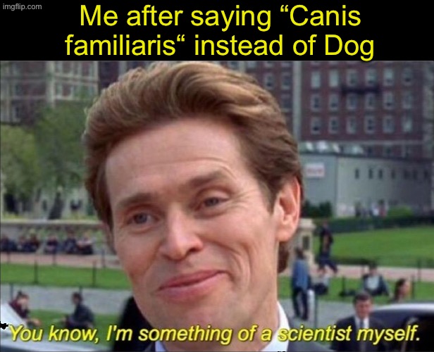 Taxonomy | Me after saying “Canis familiaris“ instead of Dog | image tagged in you know i'm something of a scientist myself,dog,taxonomy,canis familiaris | made w/ Imgflip meme maker