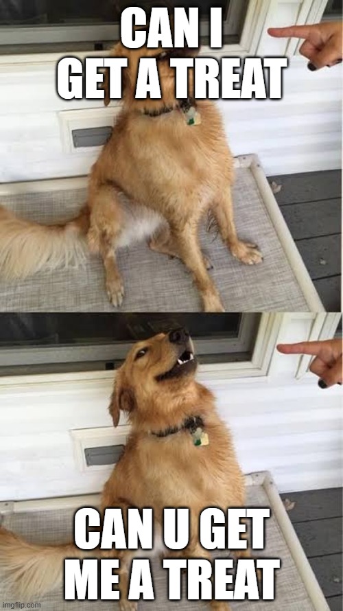 No vayas a hacer eso | can i get a treat; can u get me a treat | image tagged in no vayas a hacer eso | made w/ Imgflip meme maker